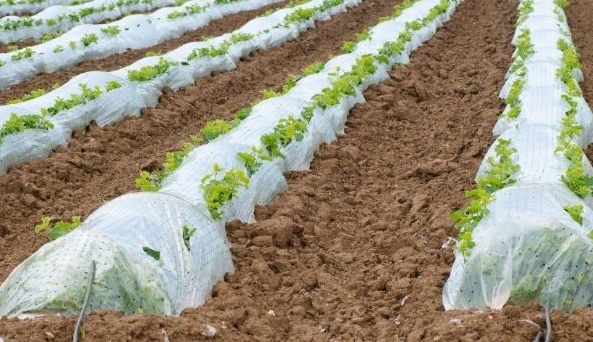 ScreenShot_2026-01-07_174436_512