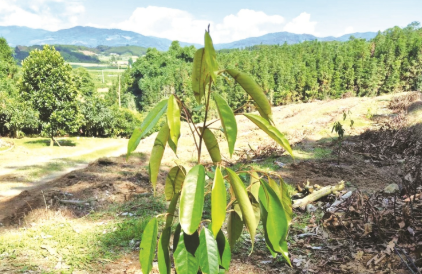 ScreenShot_2026-01-08_160429_999 ScreenShot_2026-01-08_160429_999