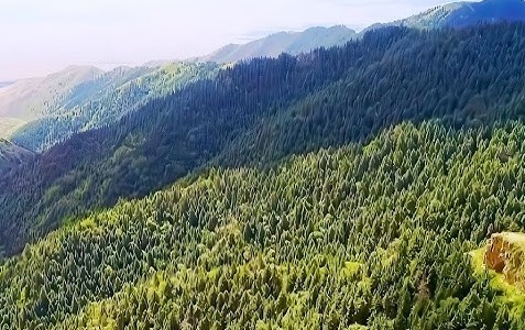 ScreenShot_2026-01-08_160236_301 ScreenShot_2026-01-08_160236_301